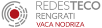 Photo of REDES TECO-RENGRATI  Team