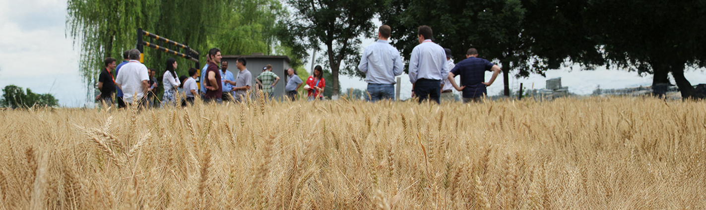 China People standing and talking near a crop field with trees in the background