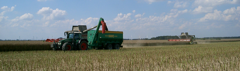 Germany Green tractor with a trailer harvesting rapeseed in a field under a partly cloudy sky