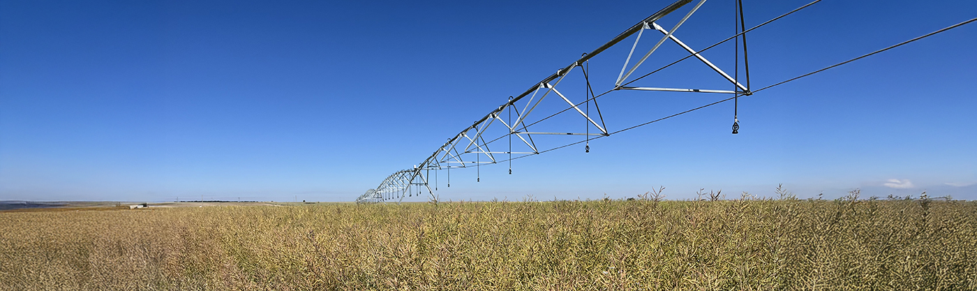 Spain Large irrigation system over a field rapeseed under a clear blue sky