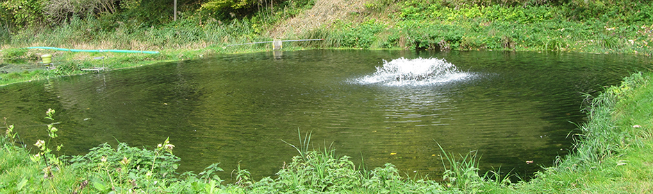 Traditional trout pond farming in a rural area of Bavaria