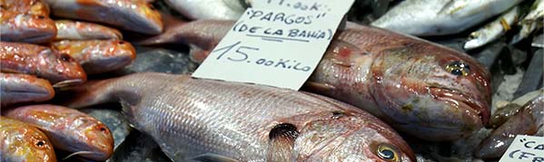 Fish market in the historic Mercado Central market hall in Cádiz, Spain