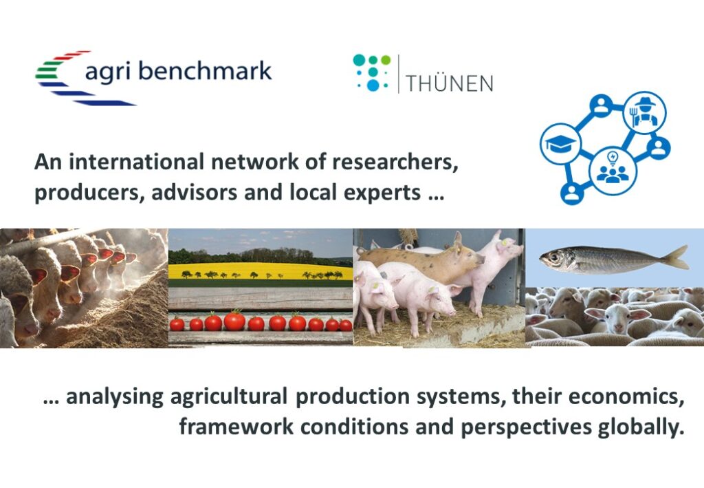 Photo collage of cattle, sheep, pigs, tomatoes, rapeseed field, horse mackerel and lambs