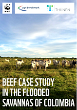 cover of Beef case study in the flooded savannas of Colombia