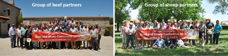 Beef and Sheep Conference 2016 in Córdoba, Spain