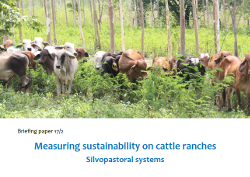 Cover of Briefing Paper 2017/2