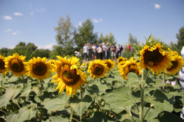 Cash Crop Conference 2014 in Voronezh, Russia