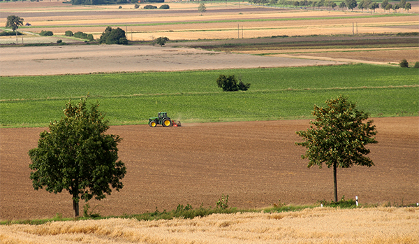 Field landscape with tractor and trees