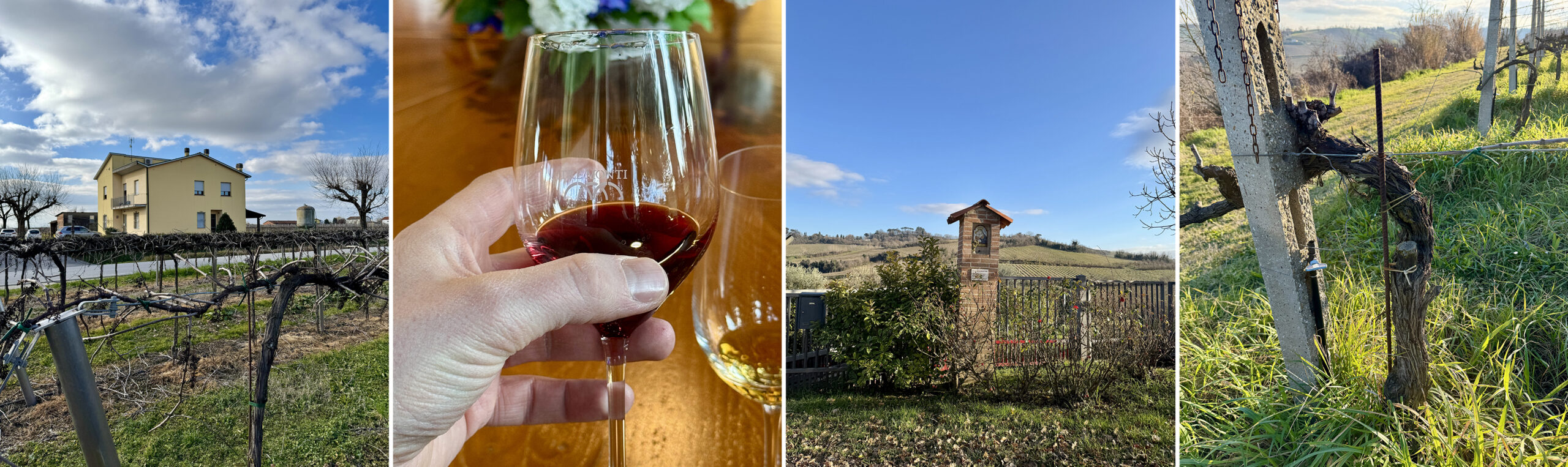 Collage of a winery, a wine glass, and a grapevine