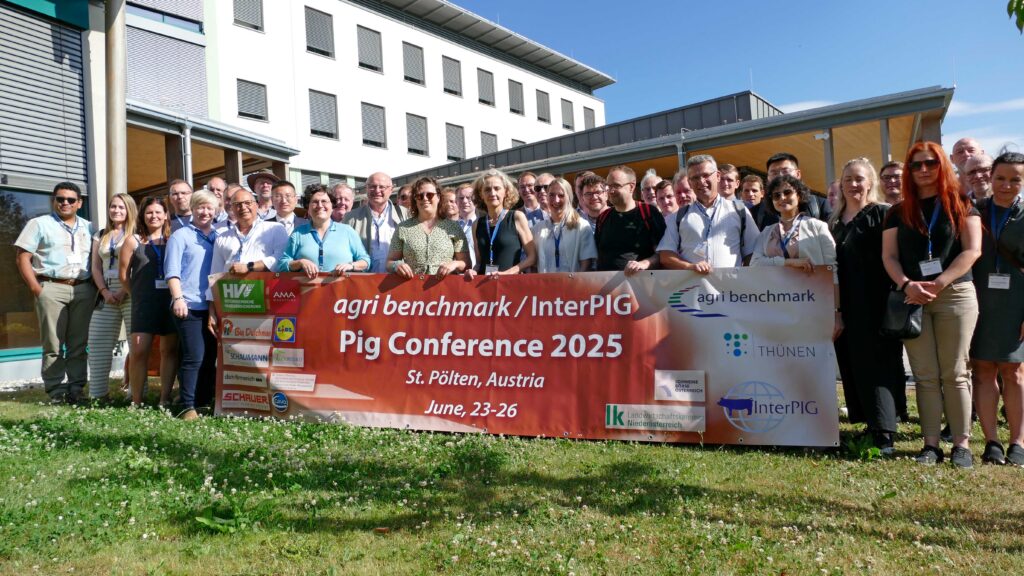 Pig Conference 2025 in St. Pölten, Austria
